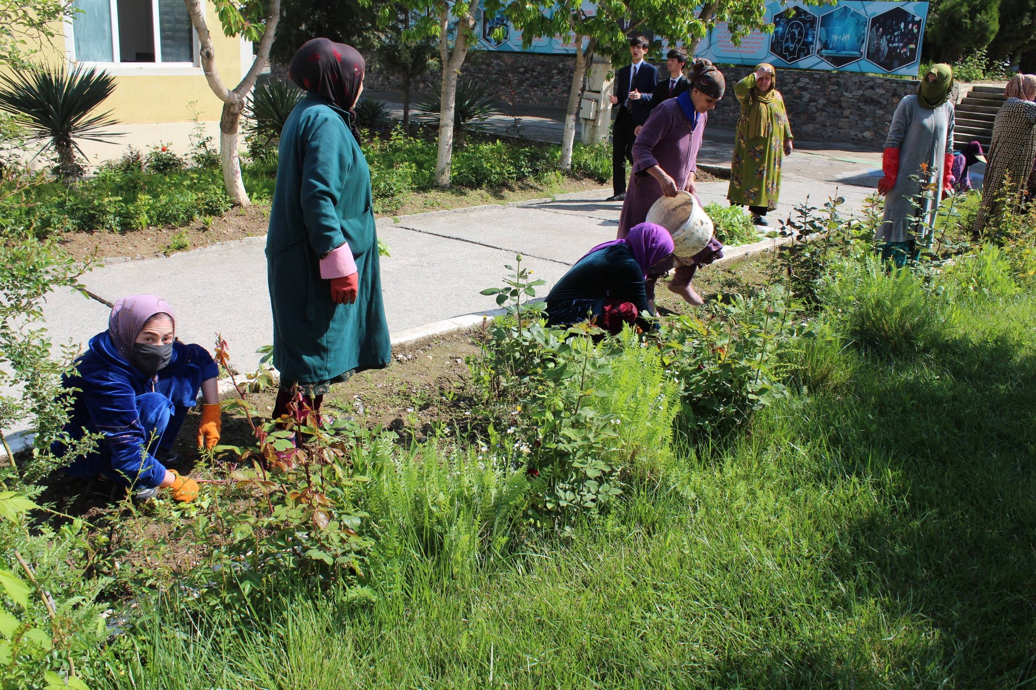 CONTRIBUTION TO THE IMPLEMENTATION OF CREATIVE DEVELOPMENT POLICY: CLEANLINESS AND BEAUTIFICATION CAMPAIGN HELD AT THE UNIVERSITY